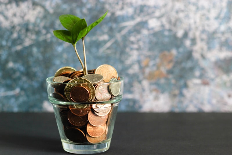 Flutter Cost Saving